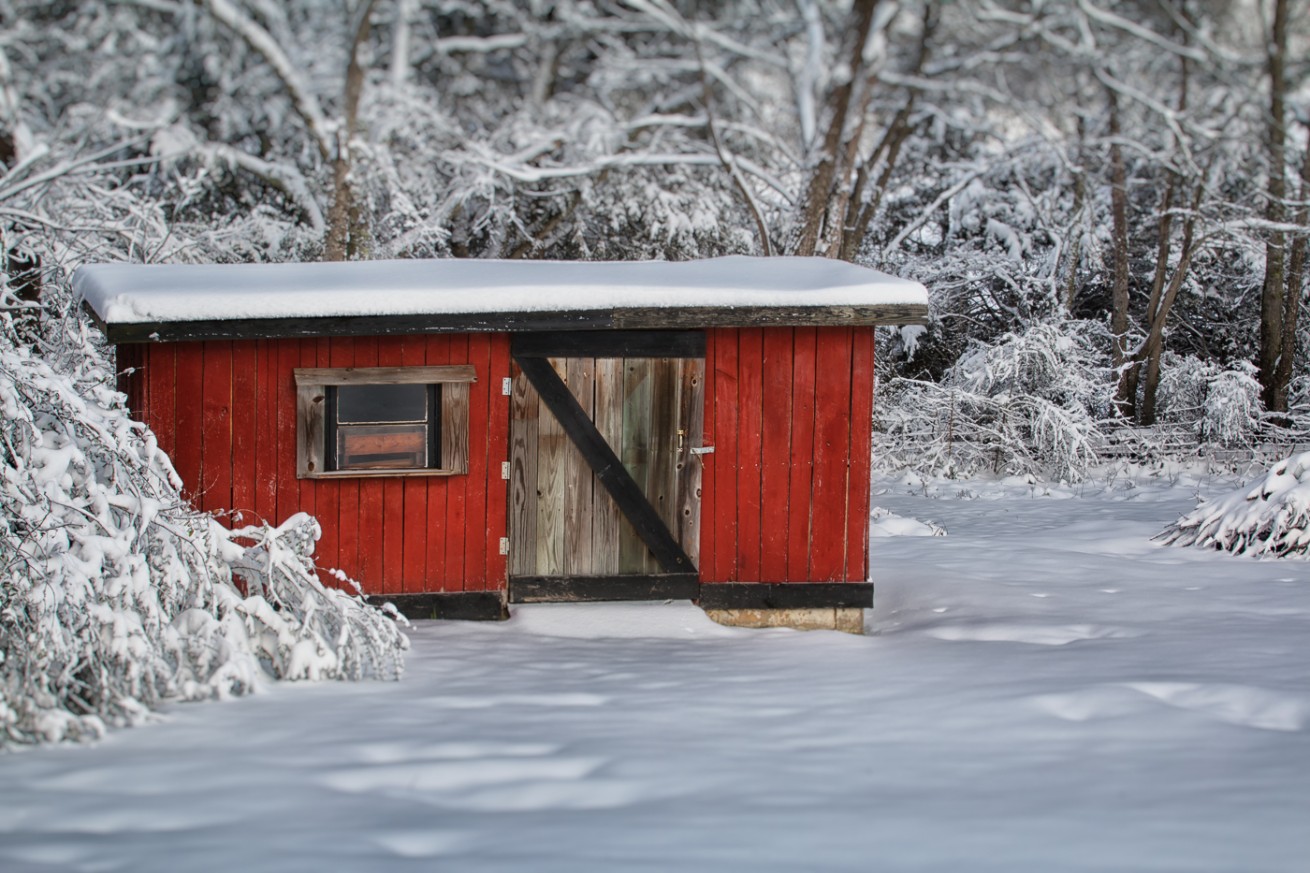 Snow Shed